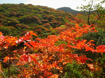 東北でまったり ♪  〜 後編 〜