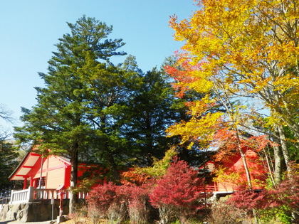 トコトコ 赤城山 ♪