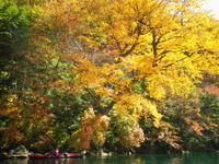 2014 紅葉の中禅寺湖♪