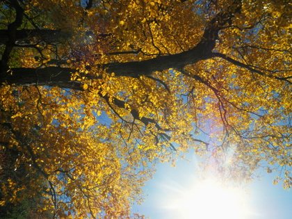 2014 紅葉の中禅寺湖♪