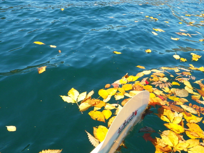 2014 紅葉の中禅寺湖♪