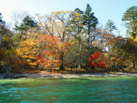 2014 紅葉の中禅寺湖♪