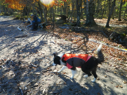 2014 紅葉の中禅寺湖♪