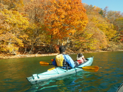 2014 紅葉の中禅寺湖♪