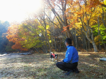 2014 紅葉の中禅寺湖♪