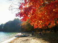 2014 紅葉の中禅寺湖♪