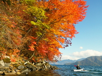 2014 紅葉の中禅寺湖♪
