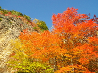 2014 紅葉の中禅寺湖♪
