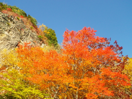 2014 紅葉の中禅寺湖♪