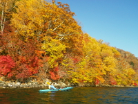 2014 紅葉の中禅寺湖♪