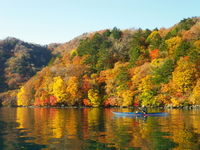 2014 紅葉の中禅寺湖♪