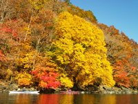 2014 紅葉の中禅寺湖♪