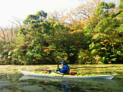 2014.11.30  紅葉の亀山湖♪