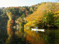2014.11.30  紅葉の亀山湖♪