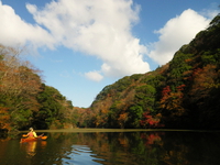 2014.11.30  紅葉の亀山湖♪