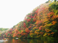 2014.11.30  紅葉の亀山湖♪