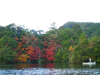 2014.11.30  紅葉の亀山湖♪