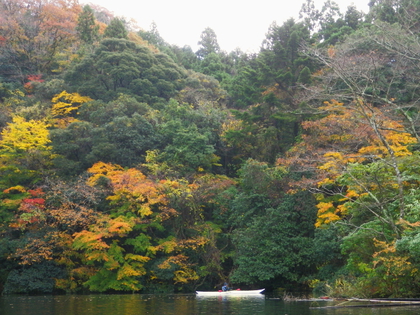2014.11.30  紅葉の亀山湖♪