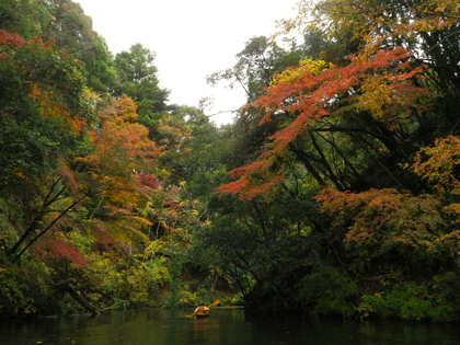 2014.11.30  紅葉の亀山湖♪