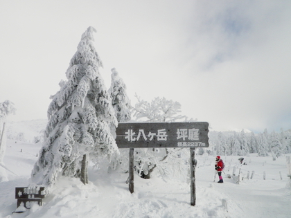 雪たっぷり 北横岳♪