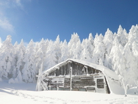 雪たっぷり 北横岳♪