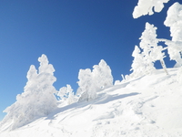 雪たっぷり 北横岳♪