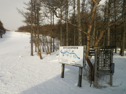 東北で雪遊び♪
