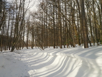 東北で雪遊び♪