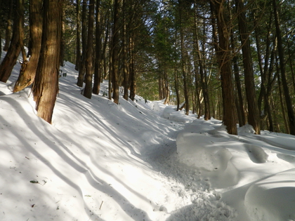 東北で雪遊び♪