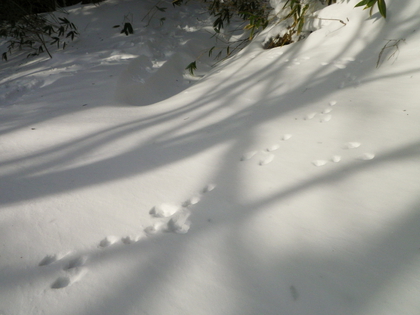 東北で雪遊び♪