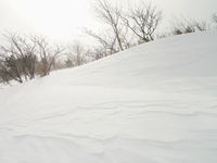 東北で雪遊び♪
