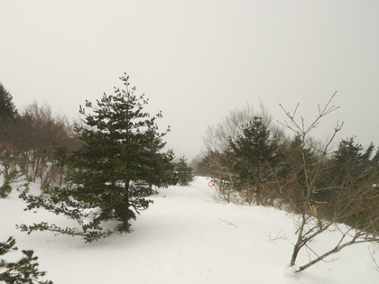 東北で雪遊び♪