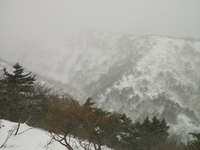 東北で雪遊び♪