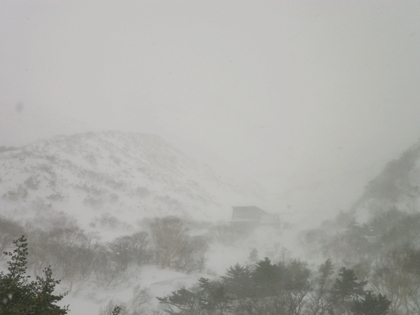 東北で雪遊び♪