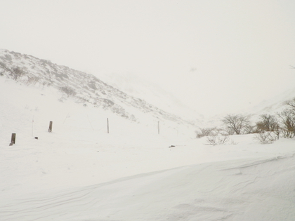 東北で雪遊び♪