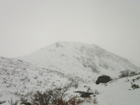東北で雪遊び♪
