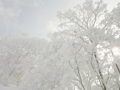 東北で雪遊び♪