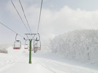 東北で雪遊び♪