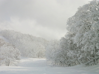 東北で雪遊び♪