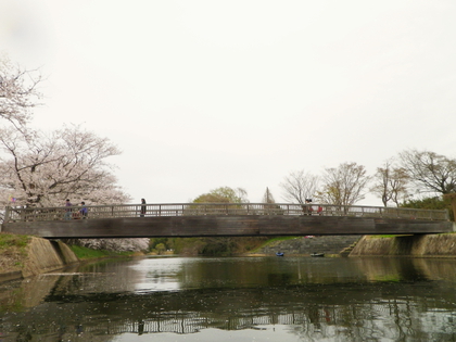 お花見カヌー♪