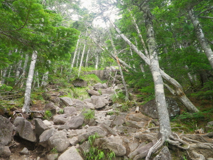 のんびり編笠山、権現岳♪