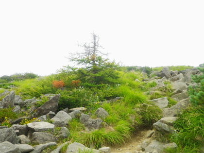 のんびり編笠山、権現岳♪