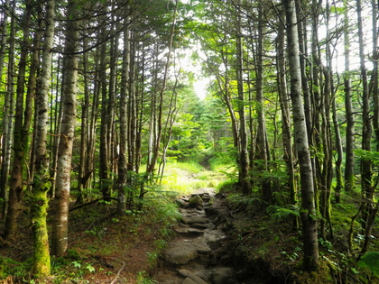 のんびり編笠山、権現岳♪