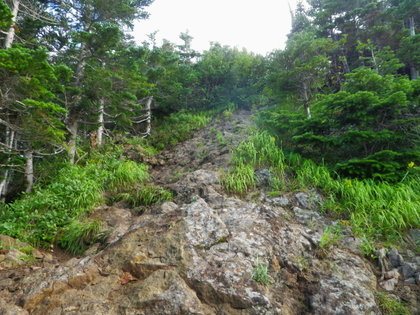 のんびり編笠山、権現岳♪