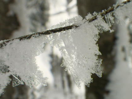 のんびり雪遊び♪