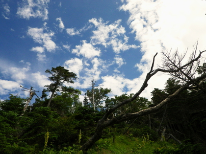 のんびり編笠山、権現岳♪