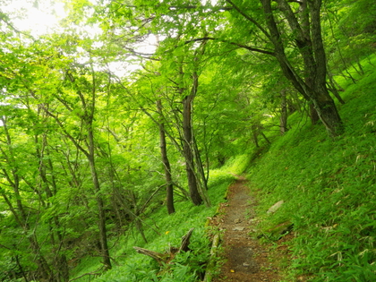 のんびり編笠山、権現岳♪