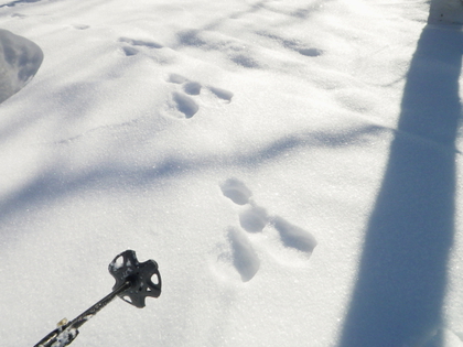 乗鞍で雪遊び ♪