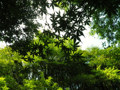 のんびり亀山湖♪