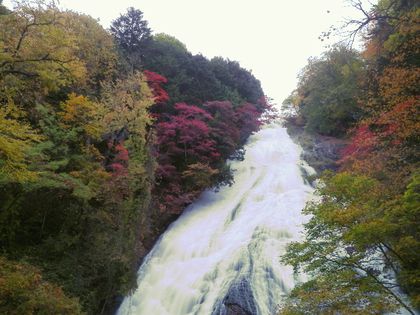 紅葉カヌー♪